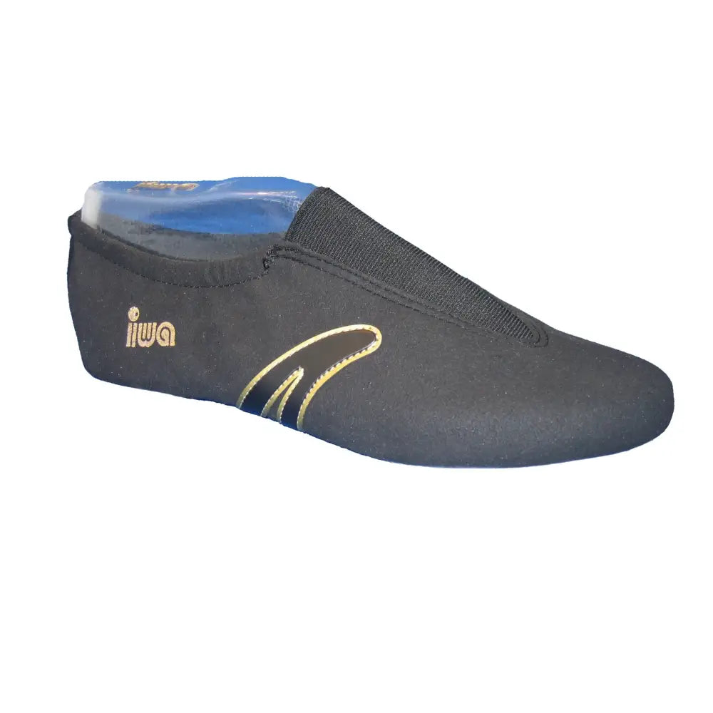 IWA 507 Gymnastikschuh